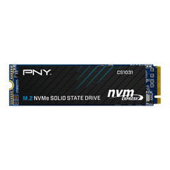 pny500gb